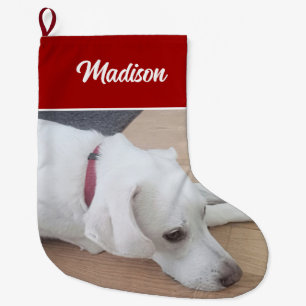 Meia De Natal Grande Cão bonito Vestindo Colar Vermelho