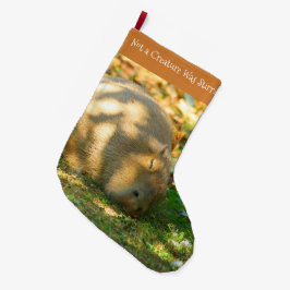 Meia De Natal Grande Capybara Fofa Sonha no Sol de Verão