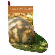 Capybara Fofa Sonha no Sol de Verão