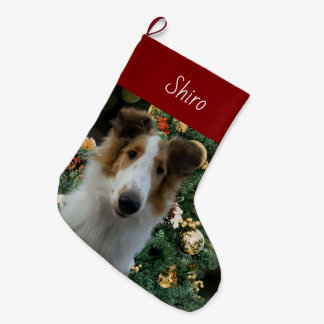 Meia De Natal Grande Collie Christmas Stocking