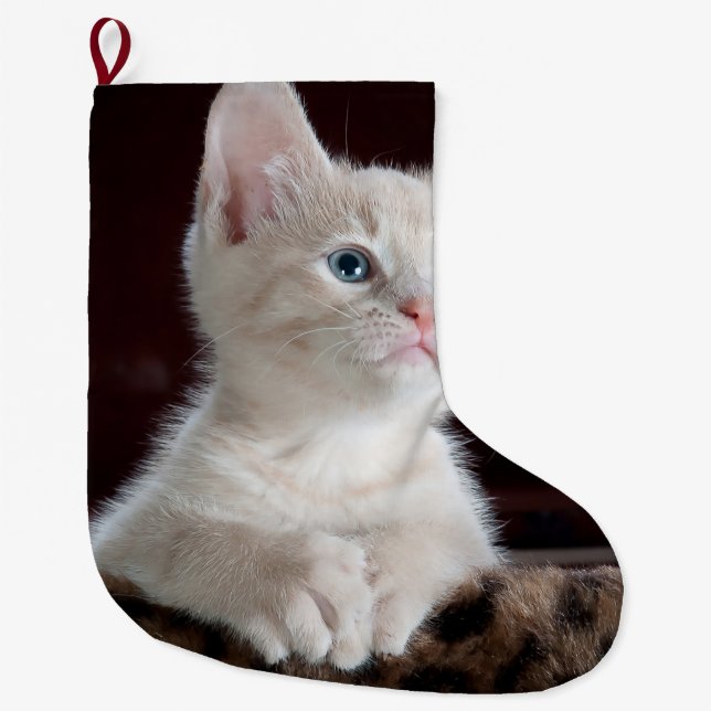 Meia De Natal Grande Cristóvão Branco Vulnerável (Frente)