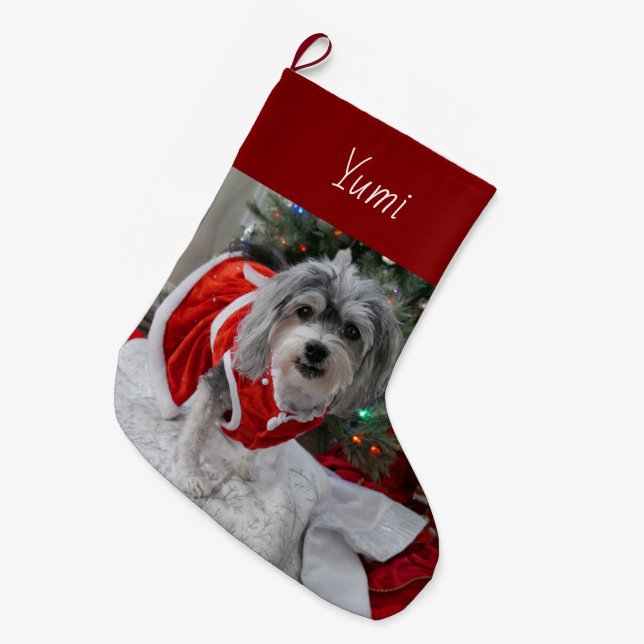 Meia De Natal Grande Cute Havanese (Frente (Pendurada))