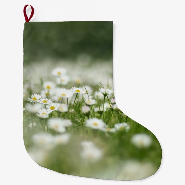 Meia De Natal Grande Daisy Meadow (Frente)