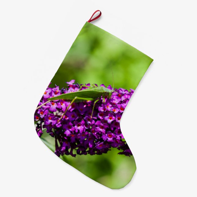 Meia De Natal Grande energia katydid (Frente (Pendurada))