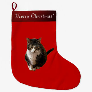 Meia De Natal Grande Foto de Gato