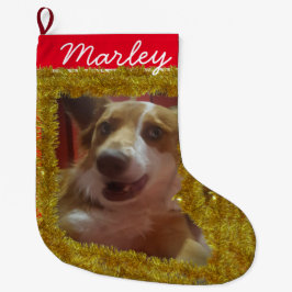 Meia De Natal Grande Foto/ nome personalizado de Pet - Pequena reserva 