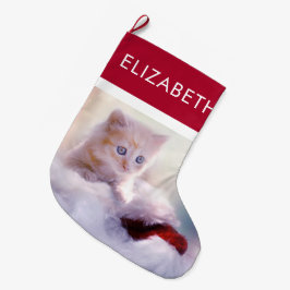 Meia De Natal Grande Fotografia de Kitten de Natal