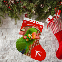 Meia De Natal Grande Fotos Personalizadas de Papagaio de Estimação Nata