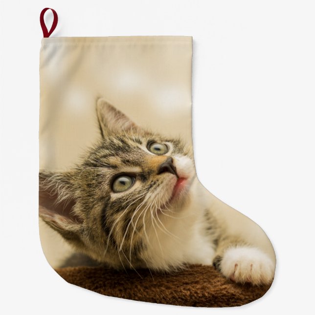 Meia De Natal Grande Gatinho Fofo com uma Pata Estimulada (Frente)