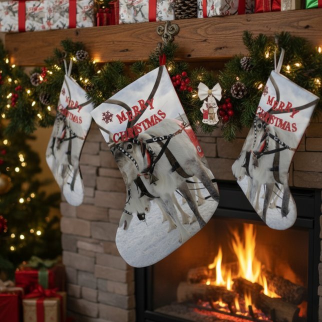 Meia De Natal Grande Lapland Christmas Reindeer & Rouco Sled Cães (Criador carregado)