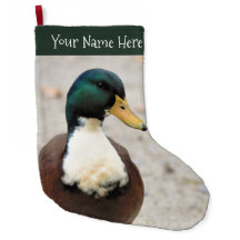 Mallard Duclair Doméstico Engraçado Pato Ímpar