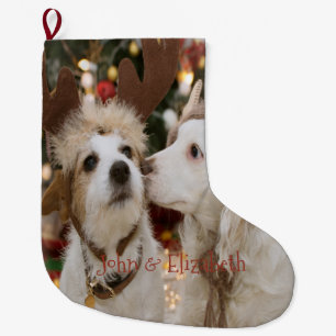 Meia De Natal Grande Natal, Cachorros Apaixonados