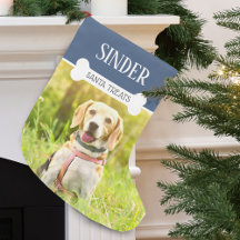Nome de Foto de Cachorro Divertido Personalizado