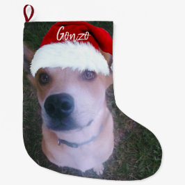 Meia De Natal Grande Nome Personalizado da Foto de Natal do Cão