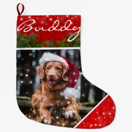 Meia De Natal Grande Pet Photo Christmas Personalized Stocks (Paragem p