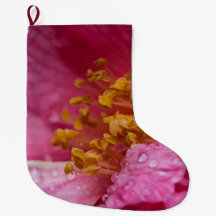 Pink Camellia Flower Stamens