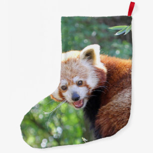 Meia De Natal Grande Red_Panda_2015_0306