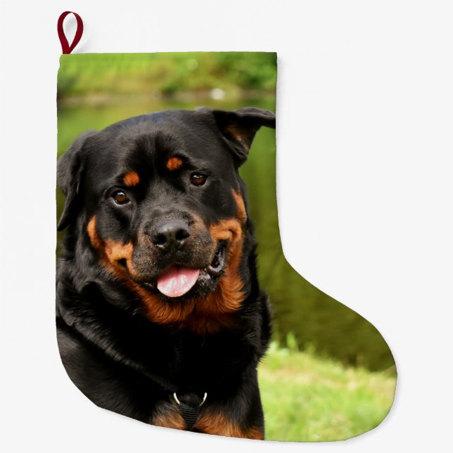Meia De Natal Grande Rottweiler Feliz Natal Stocks (Frente)