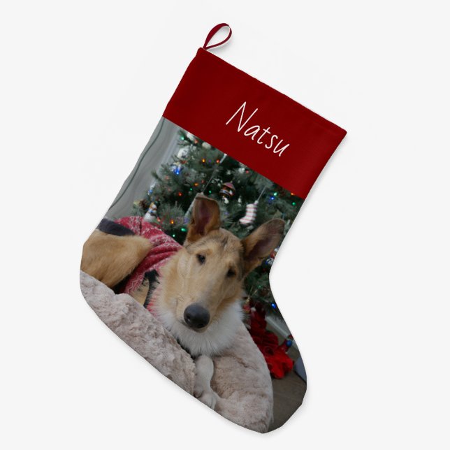 Meia De Natal Grande Smooth Collie Christmas Stocks (Frente (Pendurada))