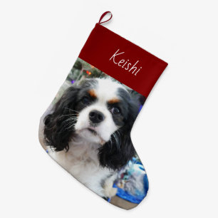Meia De Natal Grande Stocks de Natal de Tri Cavalier