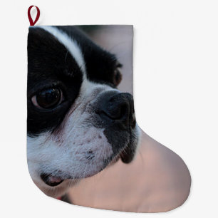 Meia De Natal Grande Terrier de Boston