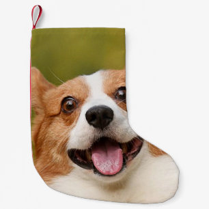 Meia De Natal Pequena Adicionar Foto de Cão Personalizada Personalizada