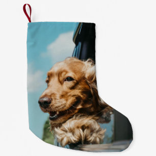 Meia De Natal Pequena Adicione sua foto de cachorro personalizada 