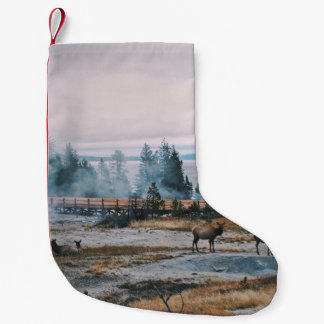 MEIA DE NATAL PEQUENA ANTES DO SOL NO PARQUE NACIONAL YELLOWSTONE