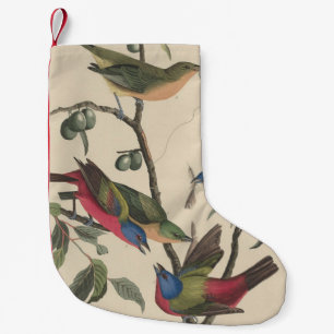 Meia De Natal Pequena Arte Colorida de Pintassilgo Pintado Audubon Vinta
