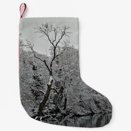 Meia De Natal Pequena Árvore, na água