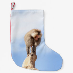 Meia De Natal Pequena Babuíno no topo de uma montanha