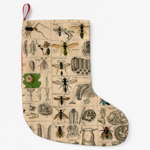 Meia De Natal Pequena Bee Insect Bug Wasp Natural History Bees