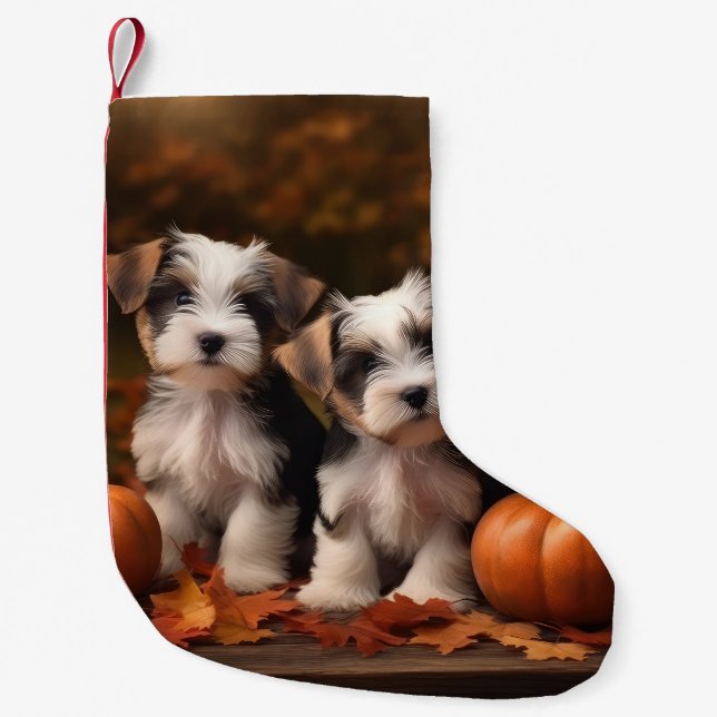Meia De Natal Pequena Biewer Terrier Puppy Autumn Delight Pumpkin (Frente)