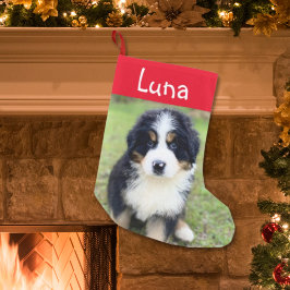 Meia De Natal Pequena Bonito presente para Berner Amantes Fêmea Bernese