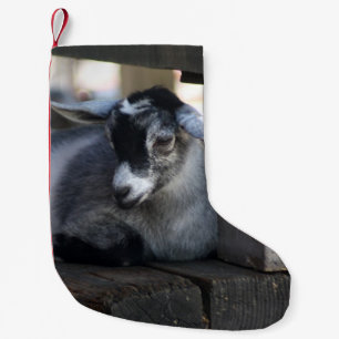 Meia De Natal Pequena Cabra
