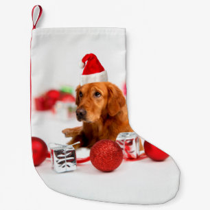Meia De Natal Pequena Cachorro de ouro W Red Santa Hat