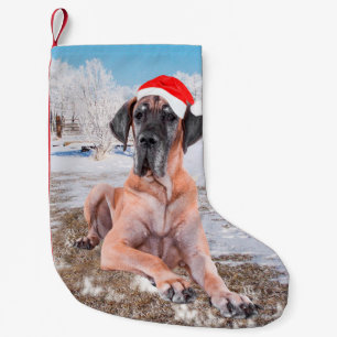 Meia De Natal Pequena Cachorro Great Dane Fofo Sentado Na Neve Chapéu De