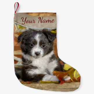 Meia De Natal Pequena Cachorro Mini Aussie Shepherd Cachorro De Cor Biol