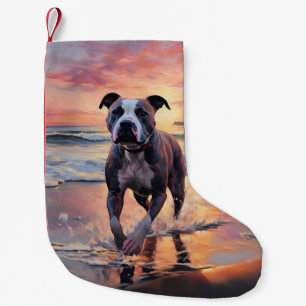 Meia De Natal Pequena Cachorro Sandy American Staffordshire na Praia ao