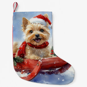 Meia De Natal Pequena Cairn Terrier Cachorro em Trenó Deixe Nevar Natal