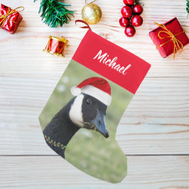 Meia De Natal Pequena Canadá Goose Vestindo Red Santa Hat com Nome
