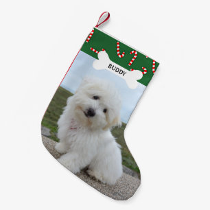 Meia De Natal Pequena Candy Canes Dog Bone Pet Photo