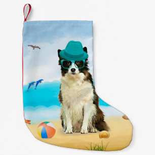 Meia De Natal Pequena Cão Border Collie na Praia