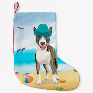 Meia De Natal Pequena Cão Bull Terrier na Praia