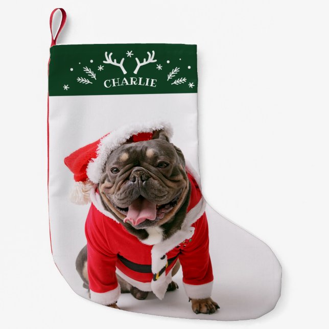 Meia De Natal Pequena Cão-De-Pé-Foto Personalizado Com Bons-Alvos E Floc (Frente)