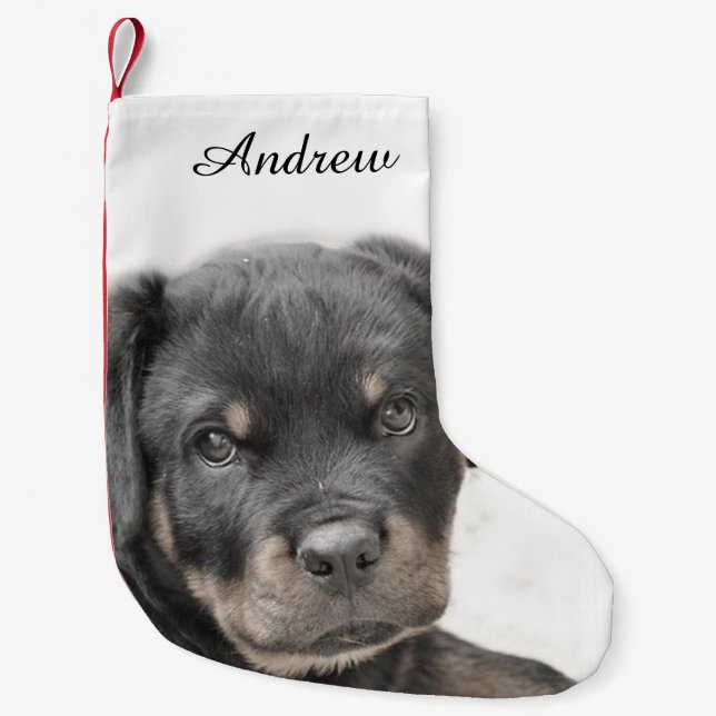 Meia De Natal Pequena Cão de Rottweiler (Frente)