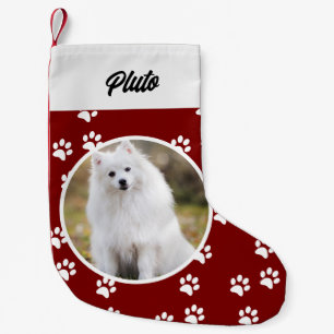Meia De Natal Pequena Cão Festivo Cão Pet Foto: