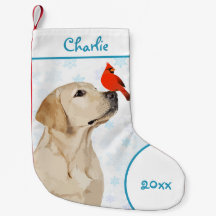 Cardeal de Natal do Laboratório Amarelo - Cachorro