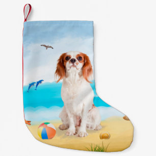 Meia De Natal Pequena Cavalier King Cachorro na Praia