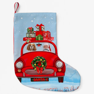 Meia De Natal Pequena Cavalier King Dog Em Carro Com Papai Noel